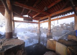 Japonska Samsara potovanja