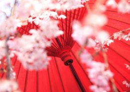 Sakura, Japonska