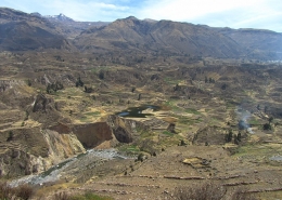 Kanjon Colca v Peruju