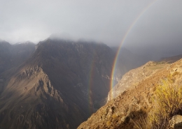 Peru Colca kanjon
