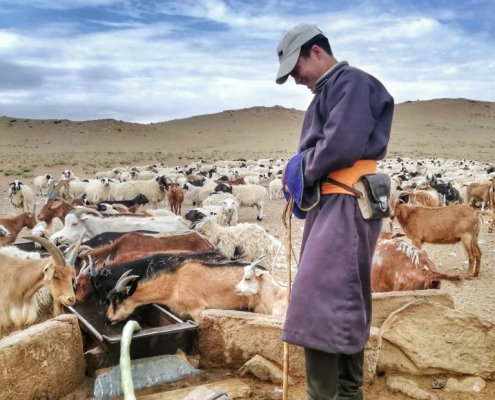 Mongolija-Samsara potovanja (7)