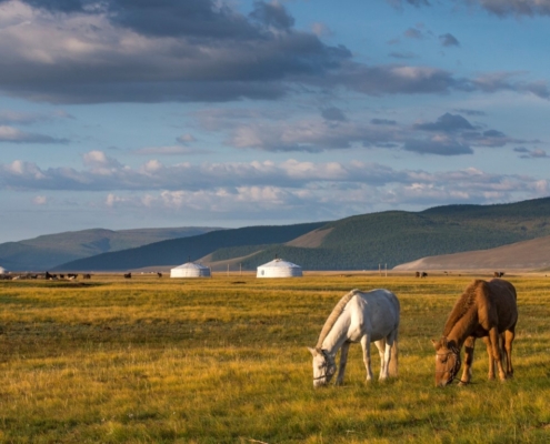 Potovanje Mongolija-Samsara potovanja