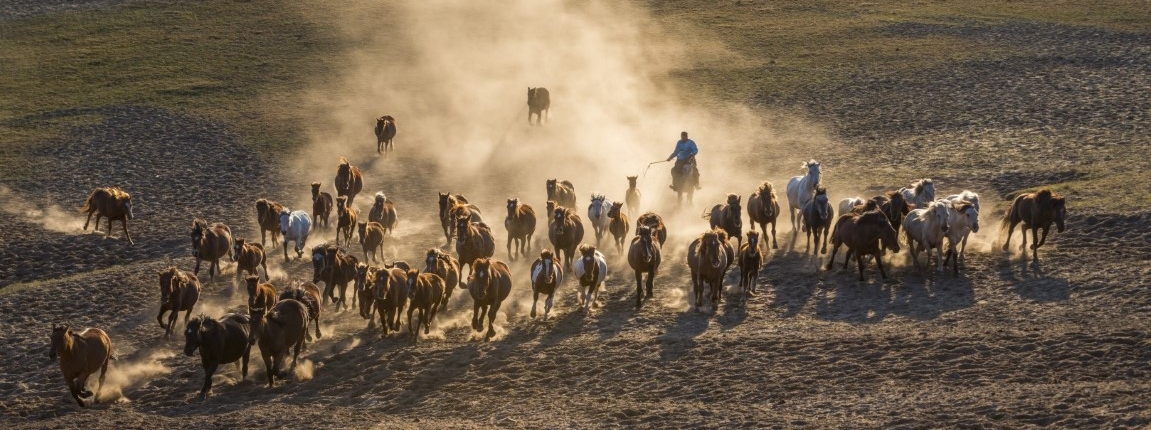 Potovanje Mongolija-Samsara potovanja
