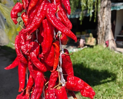 Bangladeš in Butan-Žiga Vavpotič (16)