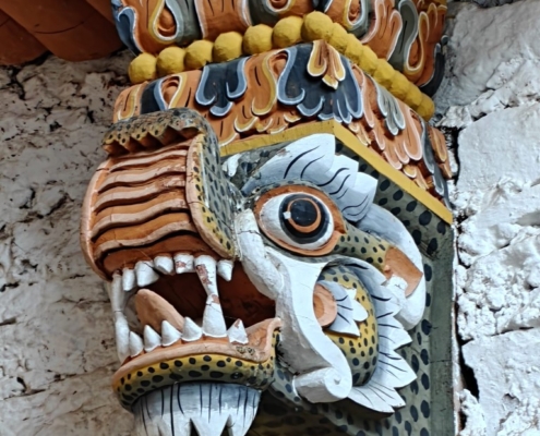 Bangladeš in Butan-Žiga Vavpotič (28)