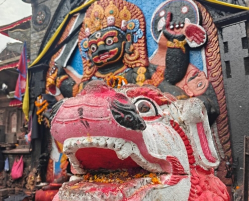 Bangladeš in Butan-Žiga Vavpotič (6)