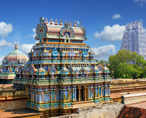 Čajne plantaže v Munnarju, Južna Indija