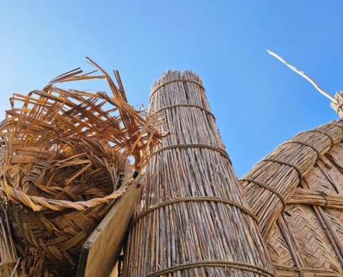 Iraško močvirje (1)