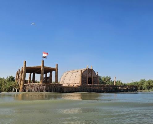 Iraško močvirje (4)