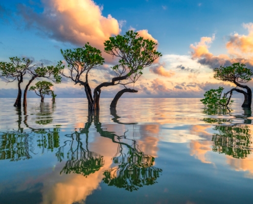 DVA TIMORJA IN SUMBA 14 DNI