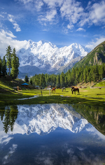 Pakistan
